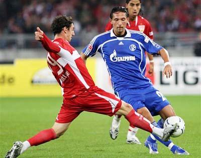 能为新人 能为新人