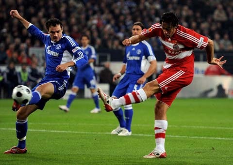 的能量能够 的能量能够